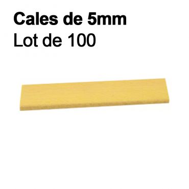 Lot de 100 cales de 5 mm